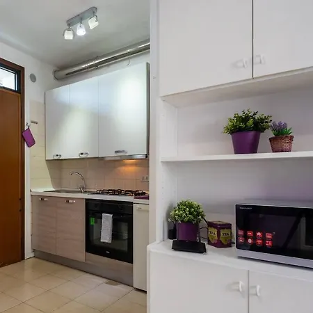 Apartment Comfort Flat With Parking!