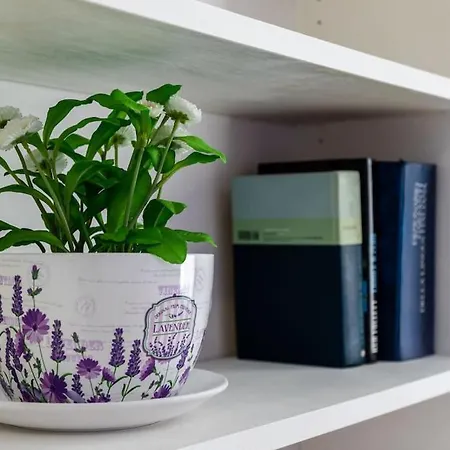 Comfort Flat With Parking! *